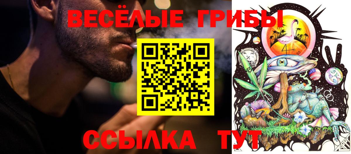 Псилоцибиновые грибы мухоморы  Вход с VPN  Сочи 